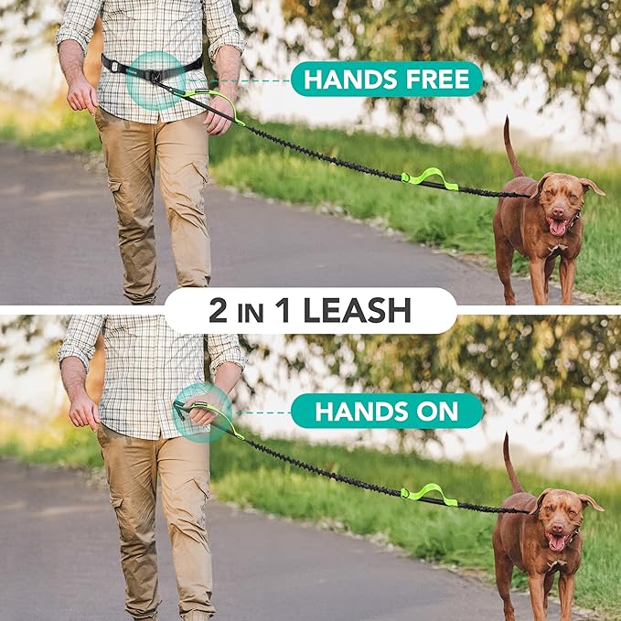 PetAmi Heavy Duty Hands Free Dog Leash, Adjustable Waist Belt for Large Dog Walking Up to 125 lbs, Bungee Leash for Pet Running, Hiking, Reflective Safety for Jogging, Biking, Green Handle