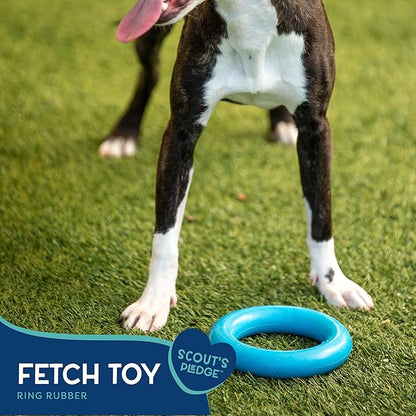 Good Scout Rubber Ring for Tugging & Chewing, Best Fetch Toy for Aggressive Chewers, No Stuffing Toy for Medium & Large Dogs