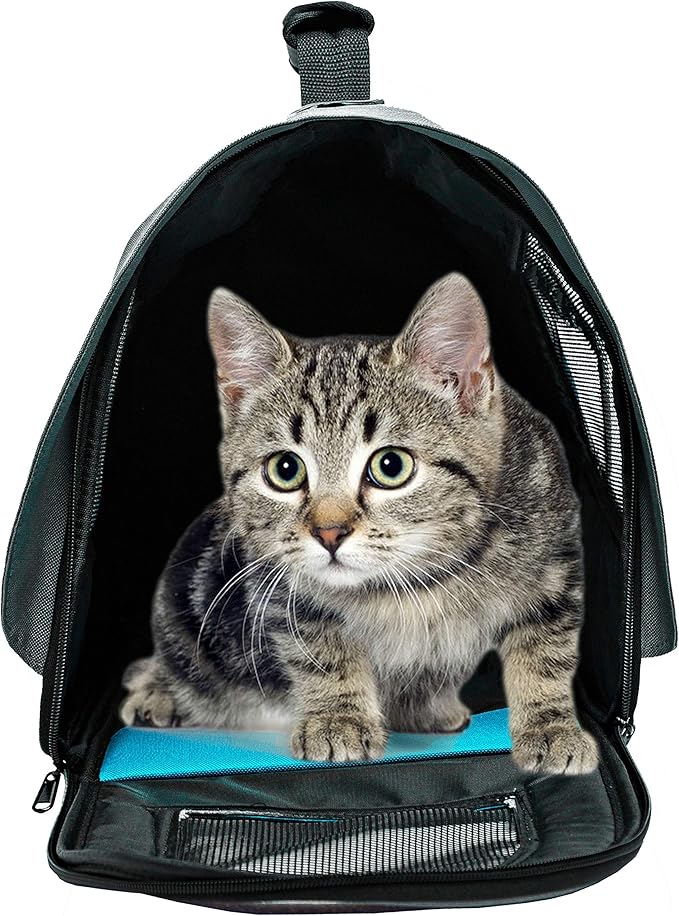 Pawer 18” x 11”x 11” Soft-Sided Foldable Airline Approved Pet Carrier for Cat, Puppy and Small Dog, Washable 600D Oxford Fabric, with Handle and Strap for Carry, Multiple Colors Available