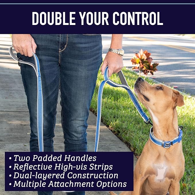 Leashboss Double Handle Dog Leash, 6 Ft Reflective Dog Leash with Two Padded Handles for Large Dogs or Medium Dogs That Pull (Black/Gray) - Dog Leash with Padded Handle - Two Handle Leash