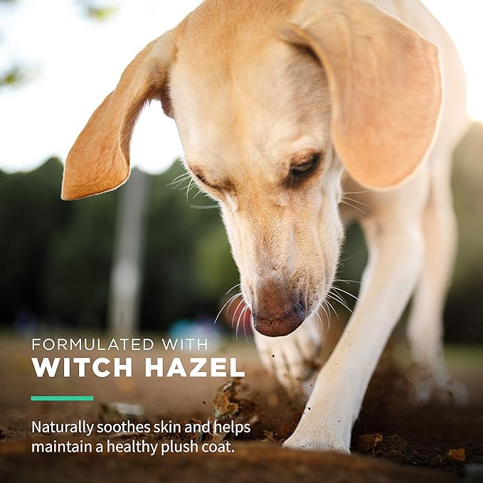 Wet Ones for Pets Extra Gentle Dog Wipes with Witch Hazel for Snout, Eye, Ear - Fragrance-Free Wipes for Dogs with Wet Lock Seal, 30 Count - 24 Pack