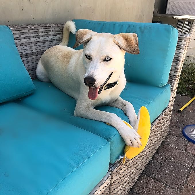 Glow Pups Banana Dog Toy with Squeaker, Cute Plush Chew Toy for Puppy, Helps with Anxiety and Boredom, Durable and Easy to Clean, 9" x 2.5", Whimsical Plush Style, Yellow