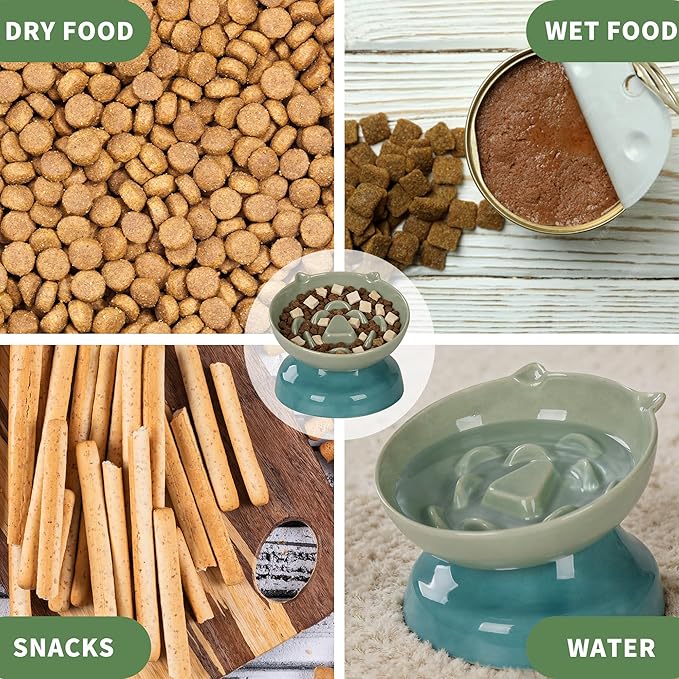 Slow Feeder Cat Bowl, Ceramic Cat Slow Feeder,Elevated Anti Vomiting Whisker Friendly Tilted Design,for Dry and Wet Food,Dishwasher Safe (Green)