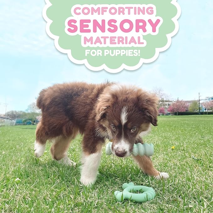 Nylabone Sensory Material Soothing Puppy Chew Toy Bundle, Toys for Teething Puppies, Peanut Butter and Chicken Flavor, Small - Up to 25 lbs, 2 Pack