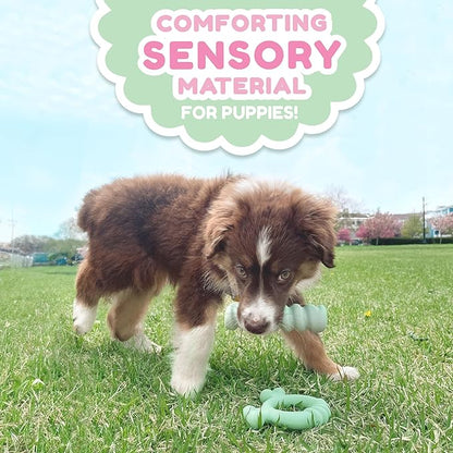 Nylabone Sensory Material Soothing Puppy Chew Toy Bundle, Toys for Teething Puppies, Peanut Butter and Chicken Flavor, Small - Up to 25 lbs, 2 Pack