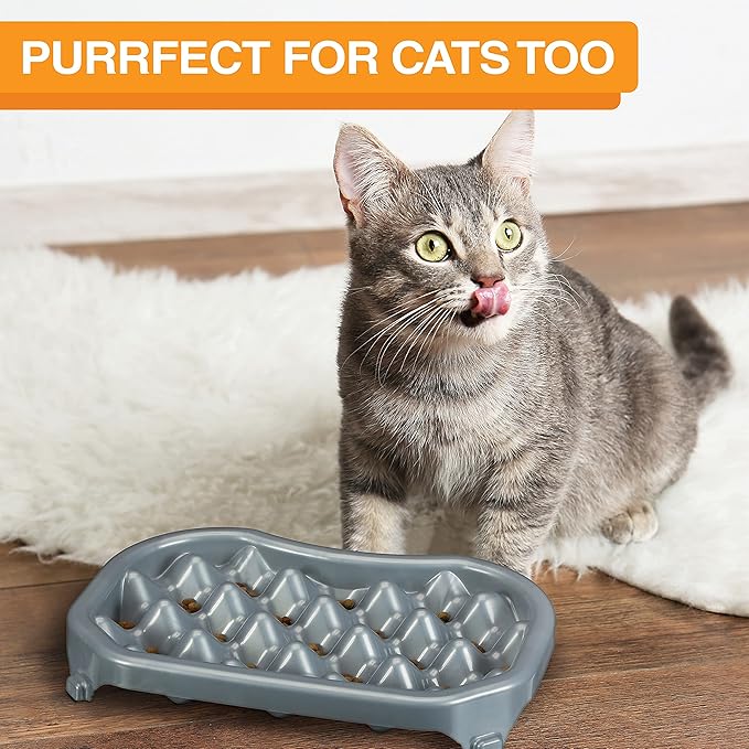 Neater Pet Brands Neater Slow Feeder Dog Bowls, Slows Down Fast Eaters to Help Digestion & Prevent Overeating, Non-Slip Food Bowl, BPA-Free, Holds 2.5 Cup of Food for Small to Medium Breed or Puppy