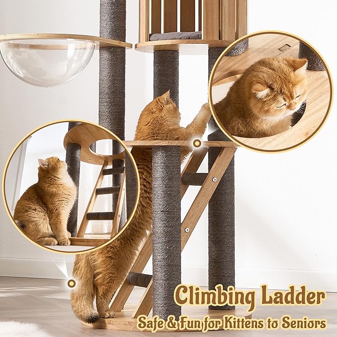 Modern Cat Tree Tower with Scratching Post, 61.5in Tall Cat Tree for Indoor Cats, Multi-Level Solid Wood Cat Furniture with Ladder, Cozy Cat Beds, Cat Condo, Capsule Nest, Dangling Toy, Gray