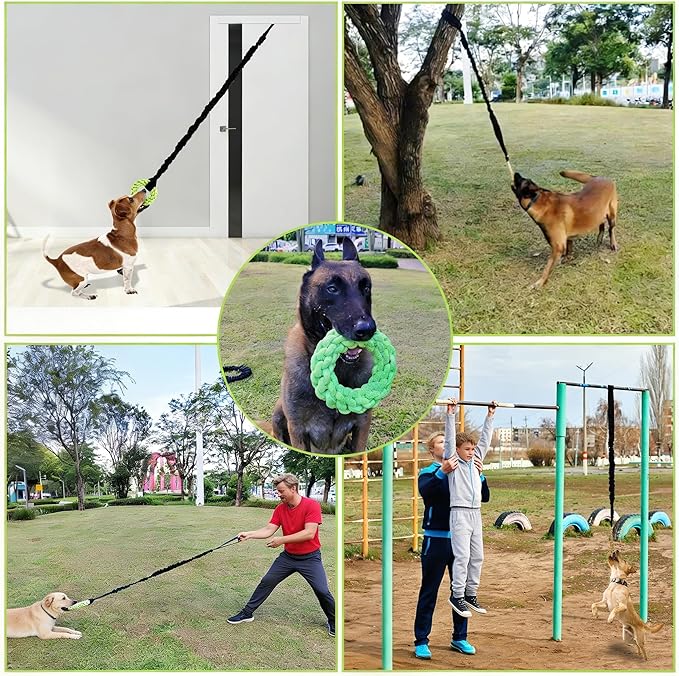 Dog Rope Toys Set with Door Anchor, Interactive Bungee Tug Toy for Indoor and Outdoor Play, Black and Green