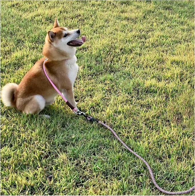 MayPaw Heavy Duty Rope Dog Leash, 3/4/5/6/7/8/10/12/15 FT Nylon Pet Leash, Soft Padded Handle Thick Lead Leashes for Large Medium Dogs (Pink Black, 1/2" * 10')