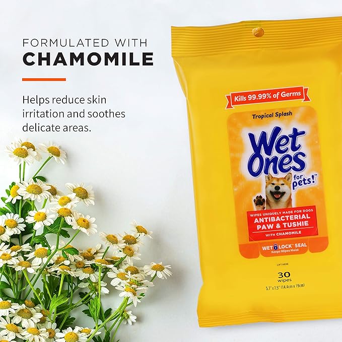 Wet Ones Dog Wipes, Pack of 2, 30 Count Total | Paw & Tushie | Tropical Splash Scent | Wet Lock Seal Pouch | With Chamomile