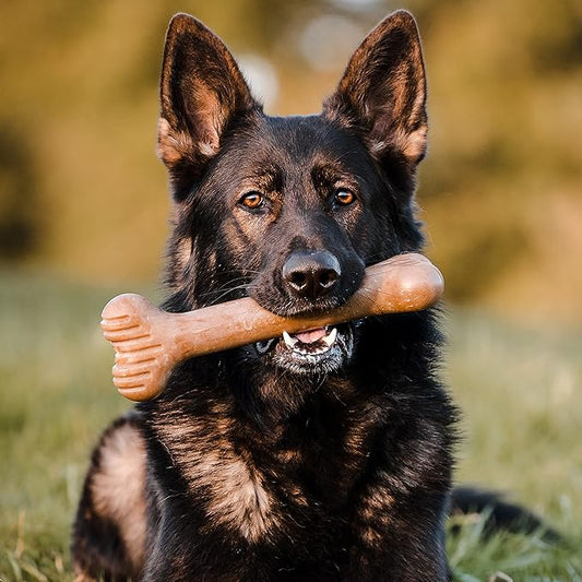 Lumabone Bulkster Durable Chew Toy for Aggressive Chewers, Real Beef, Made in USA, Giant