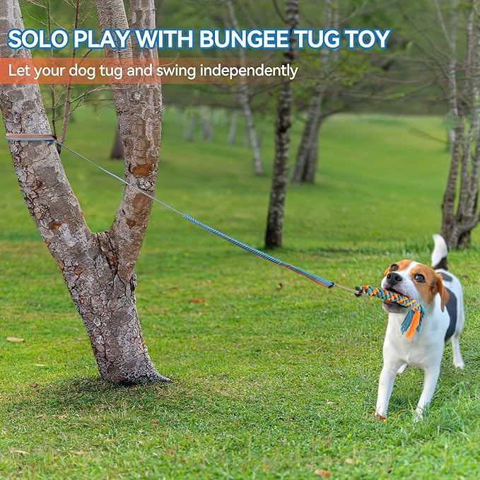 ALL FOR PAWS Dog Bungee Tug Toy, Outdoor Hanging Bungee from Tree for Chase & Tug Fun, Interactive Tug-of-War Toy for Small and Medium Dogs, Bungee Cord with Dog Rope Toy & Soft Chew Toy