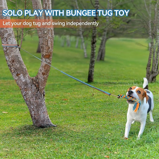 ALL FOR PAWS Dog Bungee Tug Toy, Outdoor Hanging Bungee from Tree for Chase & Tug Fun, Interactive Tug-of-War Toy for Small and Medium Dogs, Bungee Cord with Dog Rope Toy & Soft Chew Toy