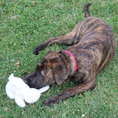 SPOT 6in Vermont Style Fleece Rabbit Dog Toy – Soft Comfort Plushie for Small Dogs & Puppies – Built-in Squeaker – Safe for Light Chewers – No Plastic Parts – Calming & Cuddly Pet Toy