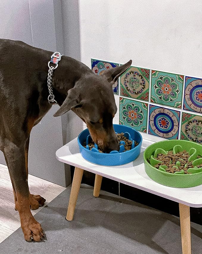 LE TAUCI Dog Bowl Slow Feeder Ceramic, 1.5 Cups Slow Feeding Dog Bowl Small Medium Breed, Puppy Slow Feeder Bow for Fast Eaters, Dog Dishes to Slow Down Eating, Puzzle Dog Food Bowl