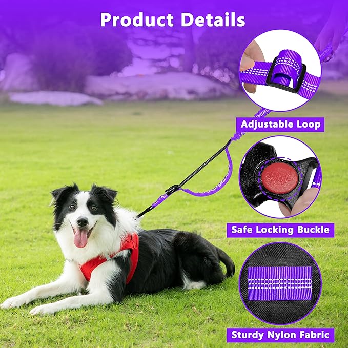 Hands Free Dog Leash with Zipper Pouch, Running Waist Leash for Dog Walking, Adjustable Waist Belt for Large Dogs, Reflective Bungee Design with Two Handle for Hiking, Training, Purple