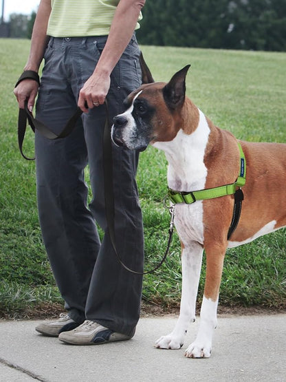 PetSafe Easy Walk Deluxe Dog Harness, No Pull Dog Harness – Perfect for Leash & Harness Training – Stops Pets from Pulling and Choking on Walks – Large, Apple