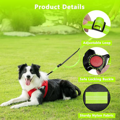 Hands Free Dog Leash with Zipper Pouch, Running Waist Leash for Dog Walking, Adjustable Waist Belt for Large Dogs, Reflective Bungee Design with Two Handle for Hiking, Training, Neon Green