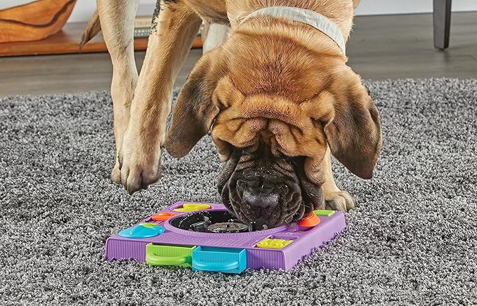 Brightkins DJ Doggo Puzzle Feeder - Enrichment Toys for Dogs Mental Stimulation, Interactive Gift for Puppies