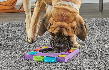 Brightkins DJ Doggo Puzzle Feeder - Enrichment Toys for Dogs Mental Stimulation, Interactive Gift for Puppies
