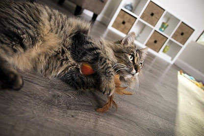 SmartyKat Flutter Balls Catnip Plush and Feather Cat Toys, Erratic Motion for Batting & Pouncing Fun for Cats & Kittens, Set of 2