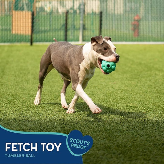 Good Scout Tumbler Ball - Aggressive Chew Toy for Puppies & Adult Dogs, No Stuffing for Medium & Large Dogs