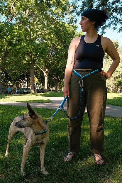 Stunt Puppy Stunt Runner Hands-Free Dog Leash, Pines Blue