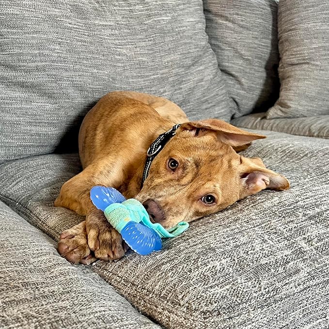 Nylabone Freezer Bone Puppy Chew Toy, Soothing Teething Toys for Puppies, Rubber & Terry Cloth, Peanut Butter Flavor, Small Dogs - Up to 25 lbs., 1 Count