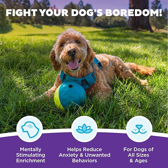 Outward Hound by Nina Ottosson Treat Tumble – Interactive Food-Dispensing Dog Puzzle Ball, Level 1 Beginner, Small, 4.8"