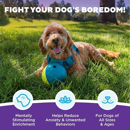 Outward Hound by Nina Ottosson Treat Tumble – Interactive Food-Dispensing Dog Puzzle Ball, Level 1 Beginner, Small, 4.8"
