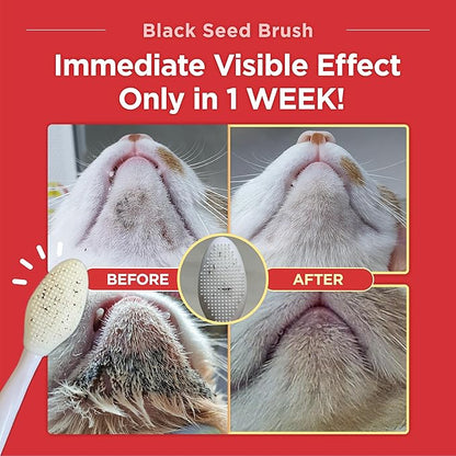 JAYU PET Black Seed Brush - Cat Grooming Brush for Chin Acne & Blackhead Exfoliation, Double-sided (1PCS)