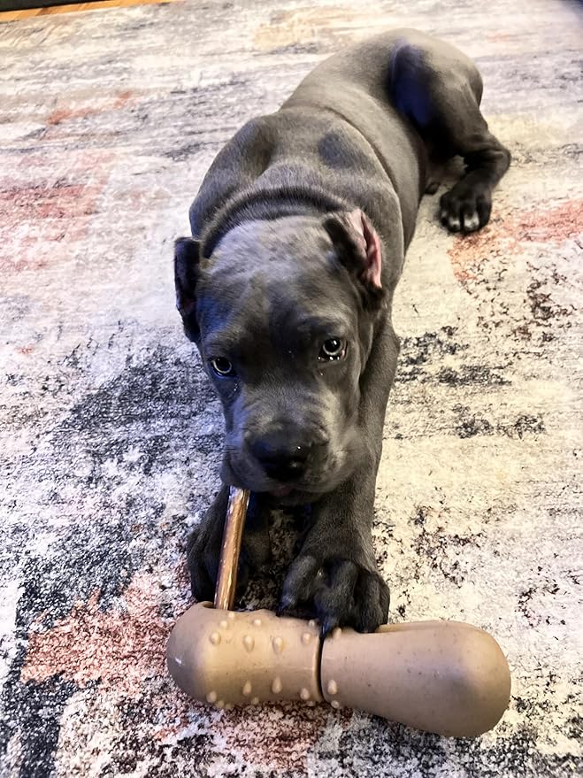 Tall Tails Bully Stick Holder and Chew Toy for Dogs – Bacon-Scented, X-Large, Adjustable Treat Holder for Bully Sticks and Spreadable Treats, Reduces Choking