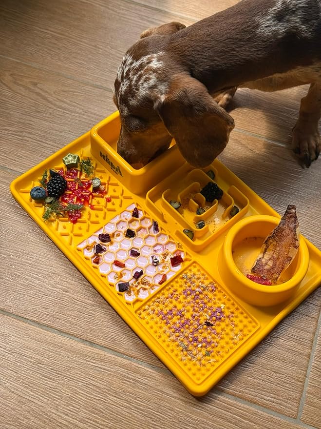 Snack Board Slow Feeder for Dogs – Large Enrichment Feeding Board with Mini Bowls & Flat Sections, Perfect for Treats & Meals | Kubi Pets