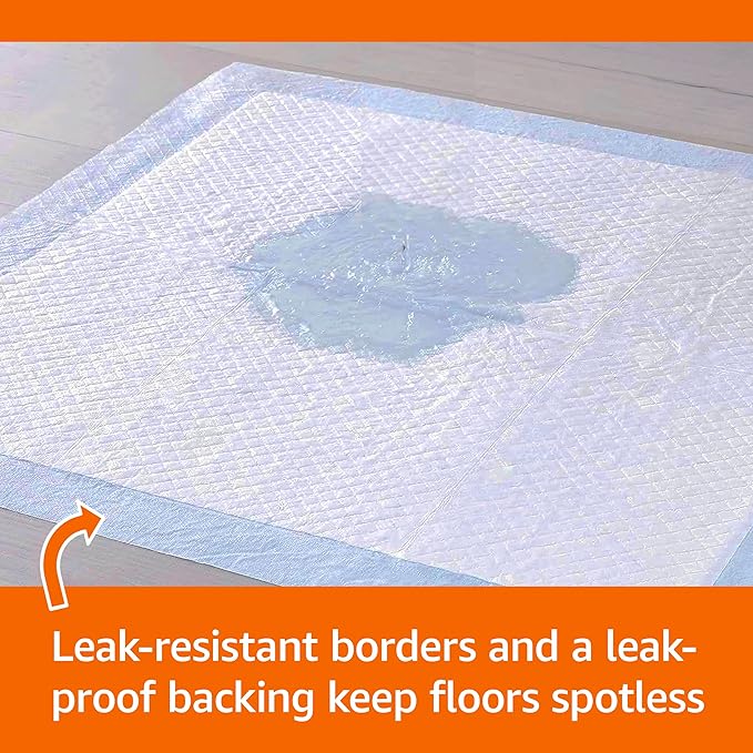 Amazon Basics Scented Dog and Puppy Potty Training Pee Pads, 5-Layer Leak-Proof Super Absorbent with Quick-Dry Surface, Regular Size 22 x 22 Inch, Blue & White, 100 Count