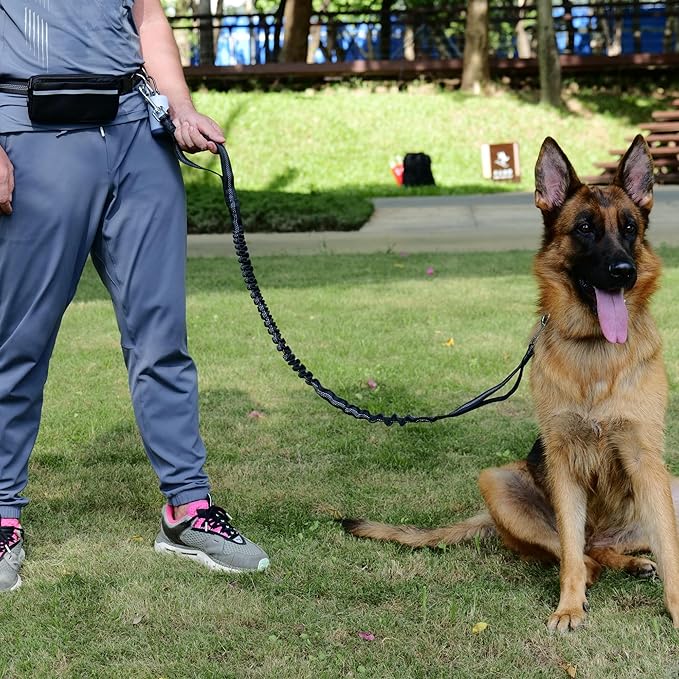 Hands-Free Dog Leash for Dogs up to 130 lbs – Heavy-Duty, Shock-Absorbing Bungee Leash with Zipper Pouch, Dual Padded Handles & Adjustable Waist Belt for Running & Walking –Classic Black