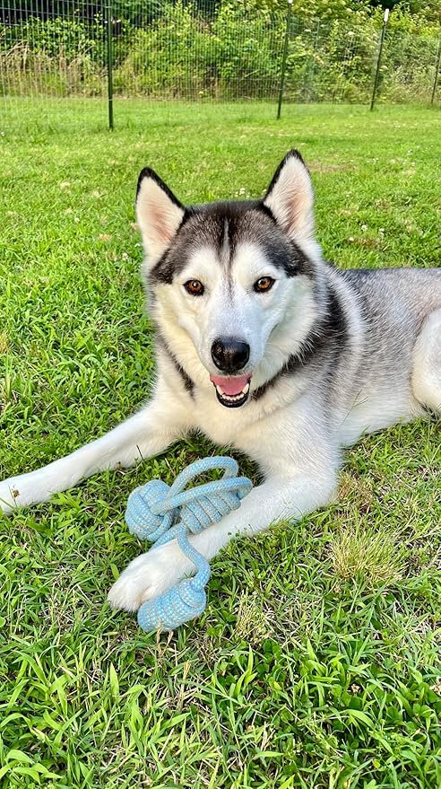 TugBud Dog Toy – 18" Organic Hemp Rope Toy for Fetch and Tug Play