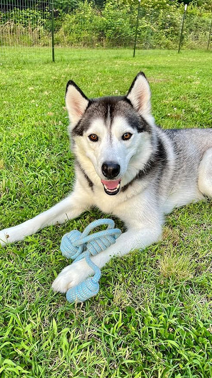 TugBud Dog Toy – 18" Organic Hemp Rope Toy for Fetch and Tug Play