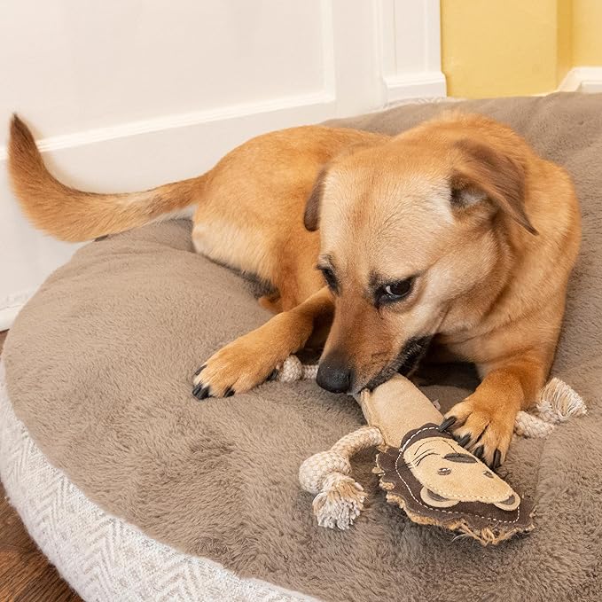 SPOT Dura-Fused Leather Jungle Animals - Dog Toy with Squeakers and Rope Limbs, Real Leather and Jute Chew Toy, Durable No-Stuffing Toy for Light to Moderate Chewers - 14in, Assorted Styles, 1 Piece