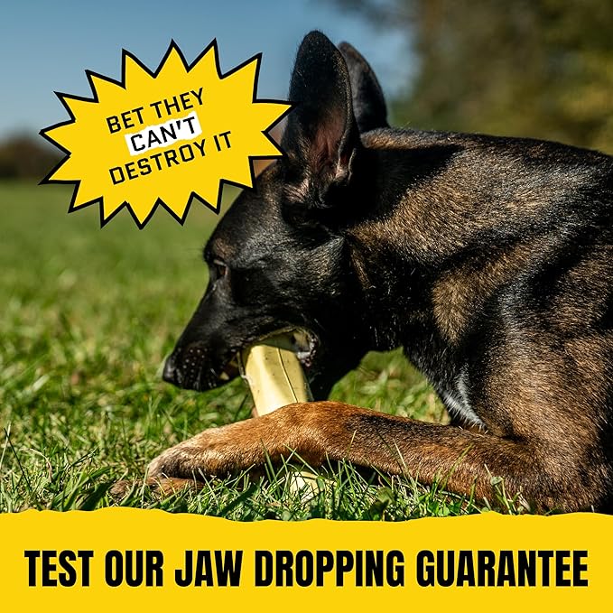 Virtually Indestructible Stick Dog Toy - Lifetime Replacement - Tough Durable Chew Toy for Aggressive Chewers - Safe Non-Toxic Natural Rubber - Chew & Fetch - Med/Large, 8”x2” - Butter Scent