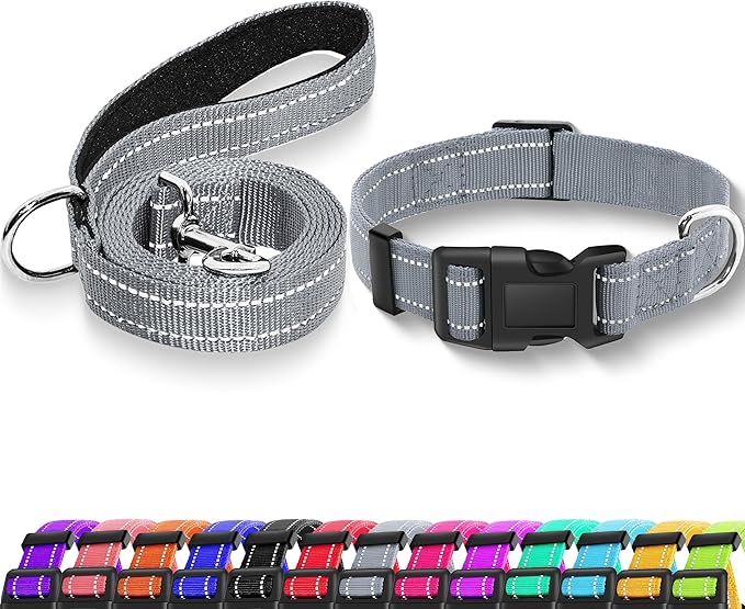 Reflective Dog Collar with Safety Locking Buckle, Adjustable Soft Breathable Nylon Collars for Small, Medium and Large Dogs(Collar+Leash XS Width 5/8" Gray)