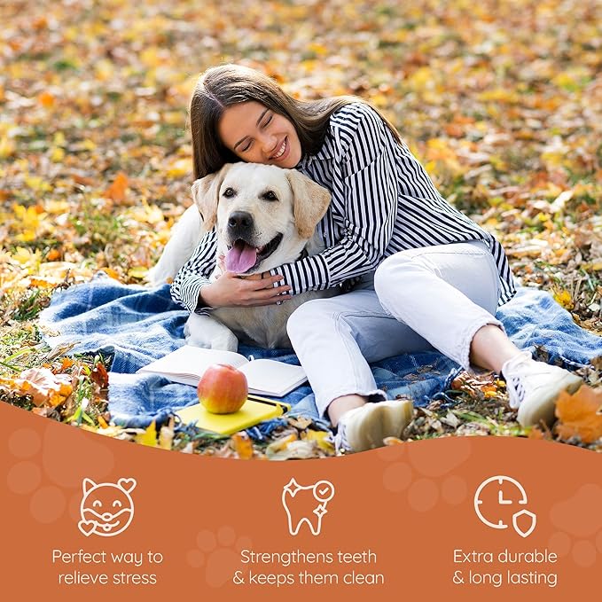 Wildfang® Briar Wood Chewing Root, Large - Splinter Free Wood Dog Chew Toys for Aggressive Chewer, Odorless Natural Teething Toys Dogs Dental Health, Healthy Gums (for Dogs 55-99 lbs), Pack of 1