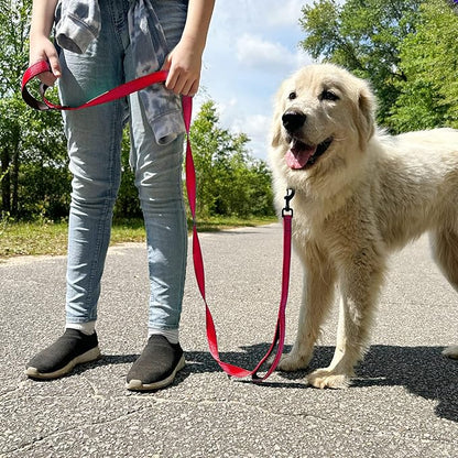 Joytale Dog Leash Heavy Duty for Large Dogs that Pull, Double Handle for Traffic Control, Double-Sided Reflective Leashes for Large Medium Dogs Night Safety, 4FT, Red
