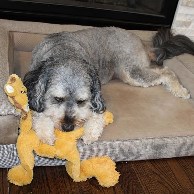 SPOT Skinneeez Tons-O-Squeakers Jungle Cat Dog Toy - 19 Squeakers for Tons-O-Fun! Stuffing-Free Design Perfect for Moderate Chewers, Tug Toy for Medium to Large Puppies & Dogs - 20in, Style May Vary