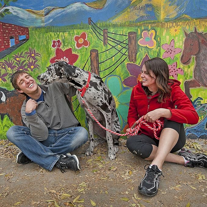 Mendota Pet Snap Leash - British-Style Braided Dog Lead, Made in The USA - Lilac, 3/8 in x 4 ft - for Small/Medium Breeds