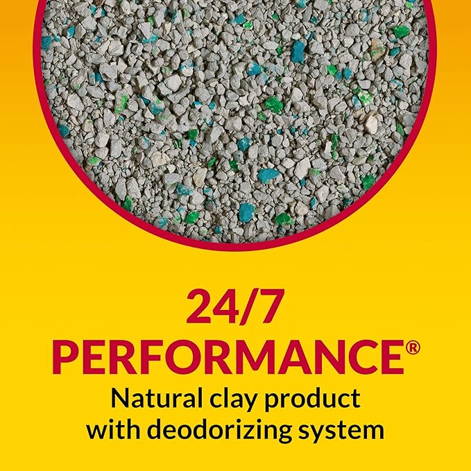 Purina Tidy Cats Non Clumping Cat Litter, 24/7 Performance Multi Cat Litter - (4) 10 lb. Bags