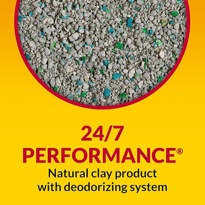 Purina Tidy Cats Non Clumping Cat Litter, 24/7 Performance Multi Cat Litter - (4) 10 lb. Bags
