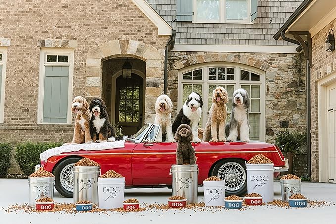 Harry Barker Classic Silver Dog Food Storage Canister – Large, Airtight Stainless Steel Pet Food Container, Holds Up to 40 lbs Dry Dog Food, Kitchen Counter & Pantry Storage - Silver