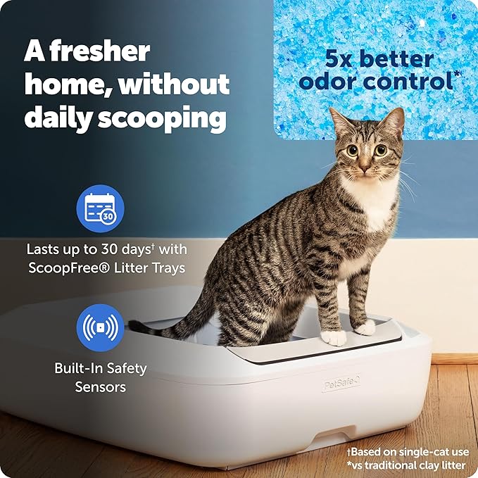 PetSafe ScoopFree Crystal Plus Automatic Self-Cleaning Cat Litter Box System – Not Enclosed – Advanced Odor Control – Includes 1 Disposable Crystal Litter Tray – White (PAL00-18016)