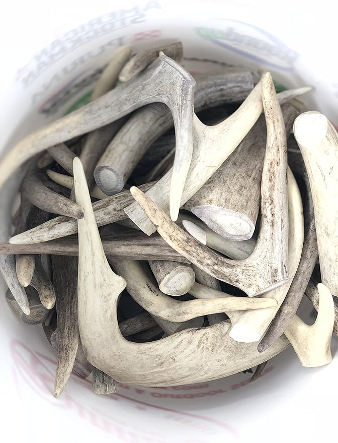 Premium Deer Antler Dog Chew Toys (1 LB Splits, Points, & Tines)