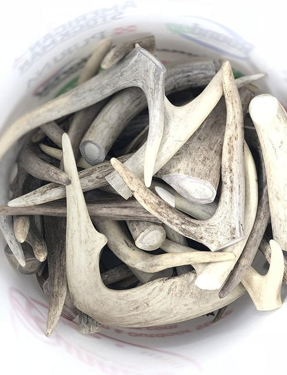 Premium Deer Antler Dog Chew Toys (1 LB Splits, Points, & Tines)